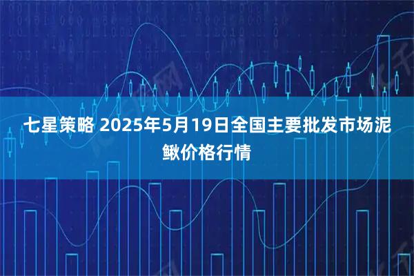 七星策略 2025年5月19日全国主要批发市场泥鳅价格行情