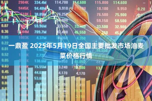 一鼎盈 2025年5月19日全国主要批发市场油麦菜价格行情