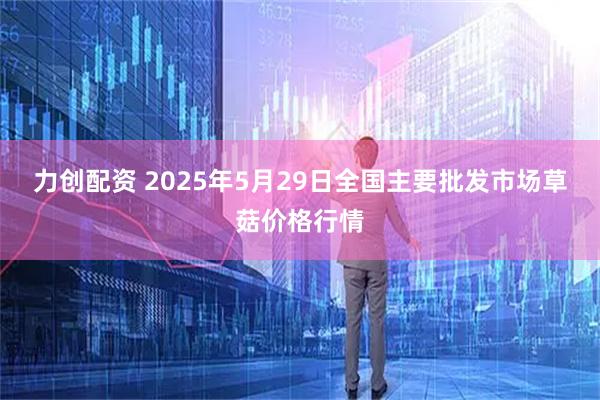 力创配资 2025年5月29日全国主要批发市场草菇价格行情