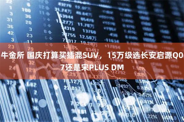牛金所 国庆打算买插混SUV，15万级选长安启源Q07还是宋PLUS DM